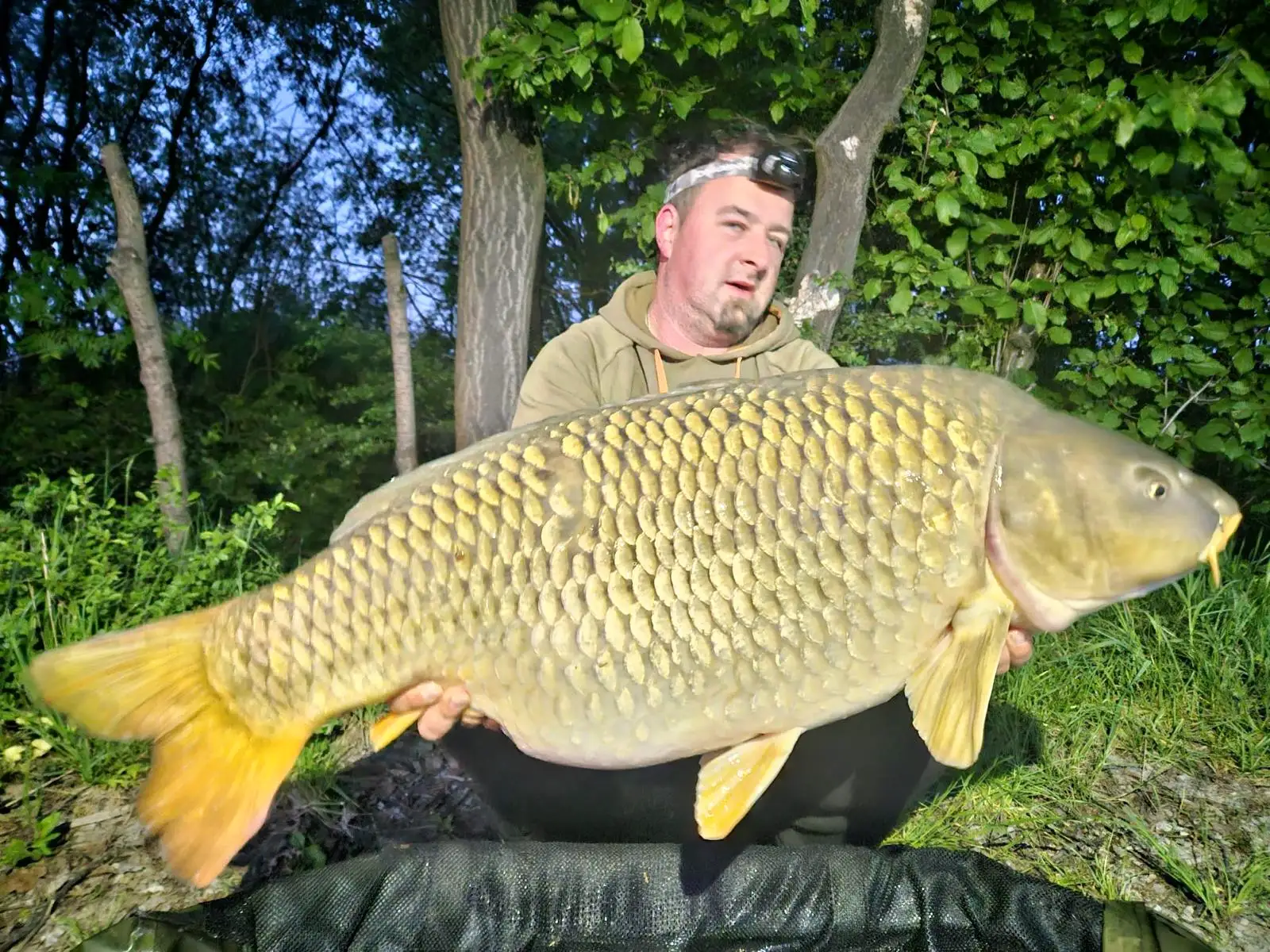 Strhaná Hráz — Kapři přes 20 kilogramů